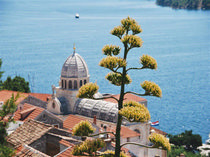 Šibenik